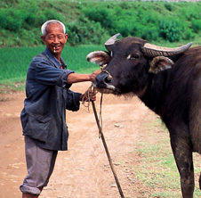 小型飼料顆粒機,農(nóng)民圓夢！